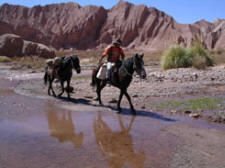 Chile-Northern Chile-San Pedro Atacama Expedition